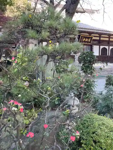 成願寺(神奈川県)