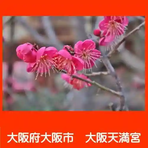 大阪天満宮の自然