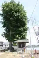地蔵尊(阪手池南鎮座)(奈良県)