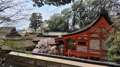 出雲大神宮(京都府)