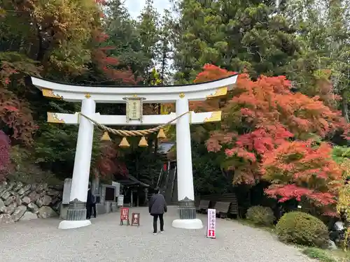 宝登山神社(埼玉県)