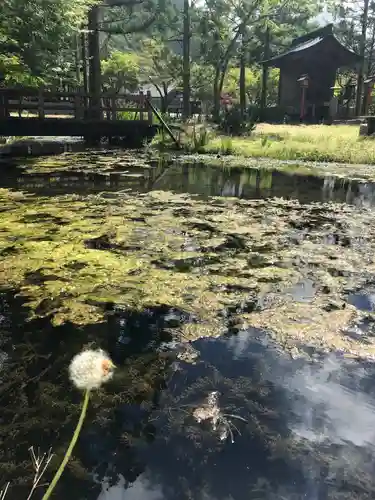 龍泉寺の庭園