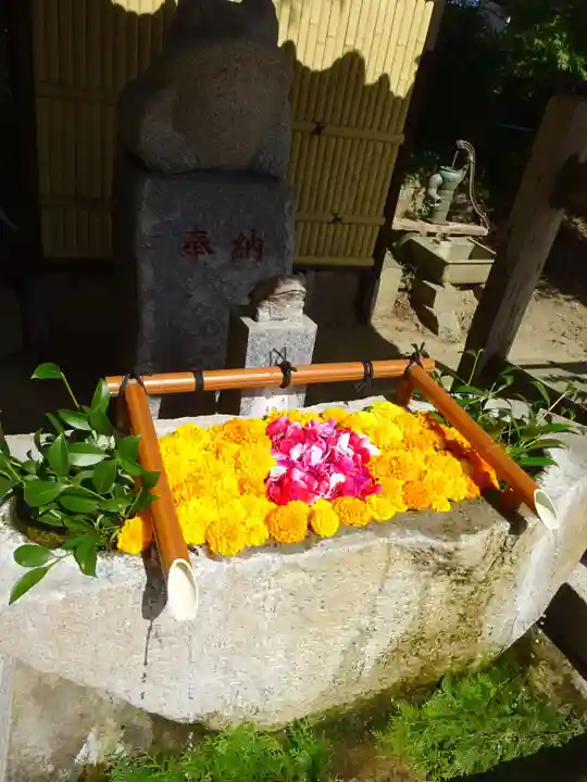 田間神社の手水舎