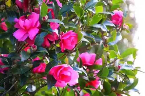 大鏑神社の庭園