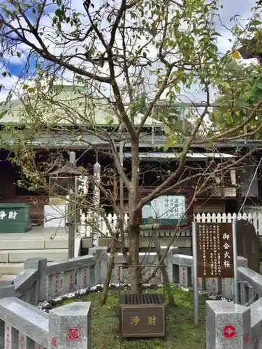 大坊本行寺のその他建物