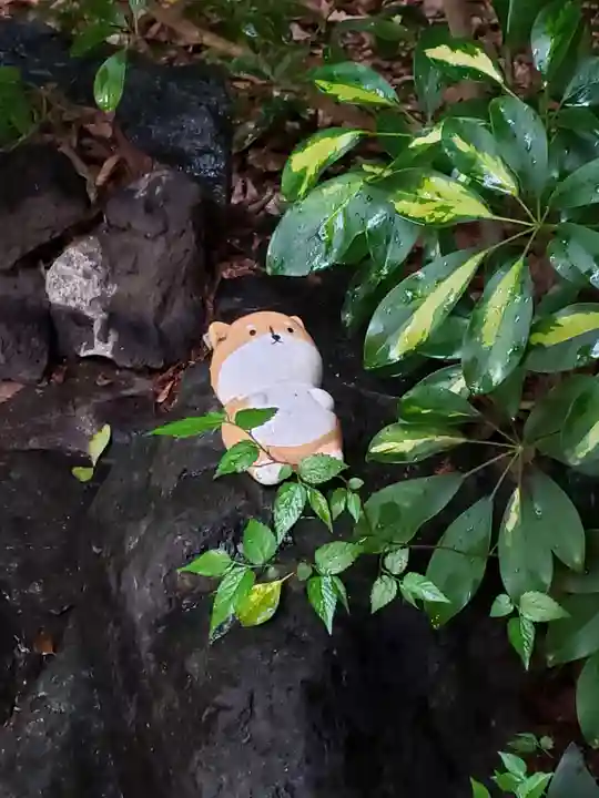 くまくま神社(導きの社 熊野町熊野神社)(東京都)