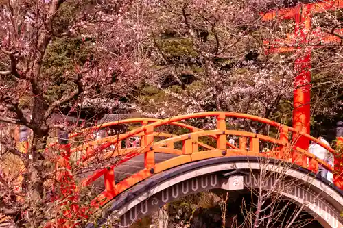 賀茂御祖神社（下鴨神社）(京都府)