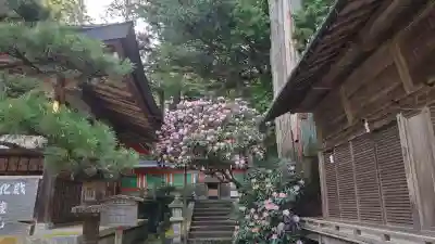 都祁水分神社(奈良県)
