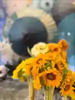 札幌諏訪神社の手水舎