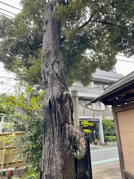 天沼八幡神社(東京都)