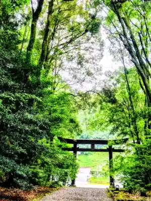 槵觸神社(宮崎県)