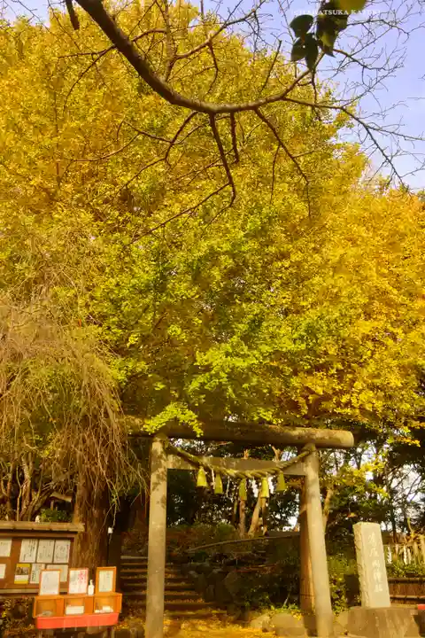 葛原岡神社(神奈川県)
