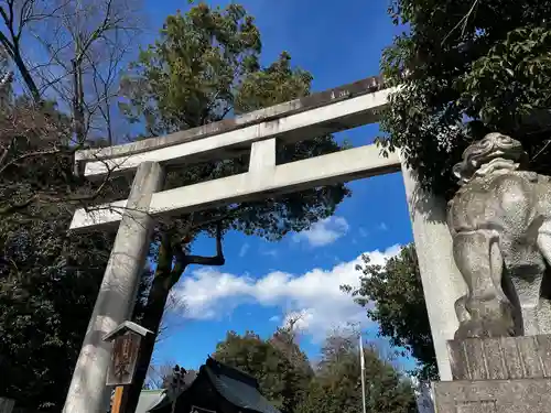 秩父神社の鳥居