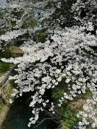 氣比神宮(福井県)