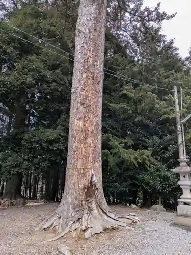 滑川神社 - 仕事と子どもの守り神(福島県)