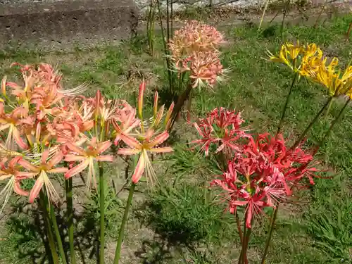 横浜　西方寺の自然