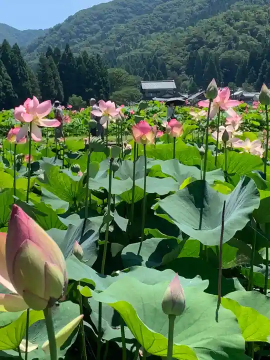 鵜甘神社(福井県)