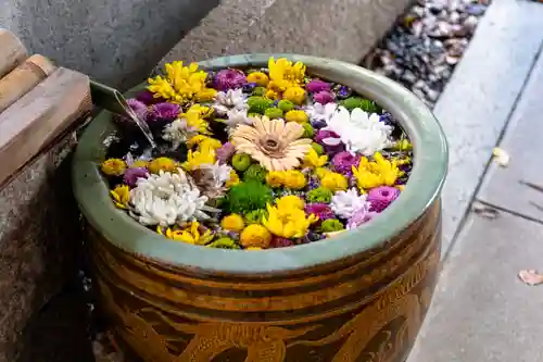 水無瀬神宮(大阪府)