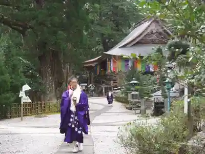 太龍寺の本殿・本堂