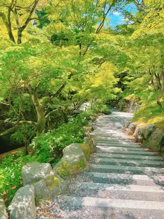 東福禅寺(東福寺)の{uncategorized: "未分類", other: "その他", undefined: "問題あり", building: "その他建物", grave: "お墓", sacred_gate: "鳥居", guardian: "狛犬", statue: "像", buddha: "仏像", history: "歴史", nature: "自然", garden: "庭園", animal: "動物", pagoda: "塔", temizu: "手水舎", mountain_gate: "山門・神門", sanctuary: "本殿・本堂", subordinate: "末社・摂社", art: "芸術", scenery: "景色", jizo: "地蔵", ema: "絵馬", goshuin: "御朱印", omikuji: "おみくじ", items: "授与品その他", amulet: "お守り", goshuincho: "御朱印帳", eats: "食事", festival: "お祭り", votive_dance: "神楽", shichigosan: "七五三参", wedding: "結婚式", experience: "体験その他", initially: "初詣", around: "周辺", anti_infection: "感染症対策"}