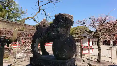 太宰府天満宮の狛犬