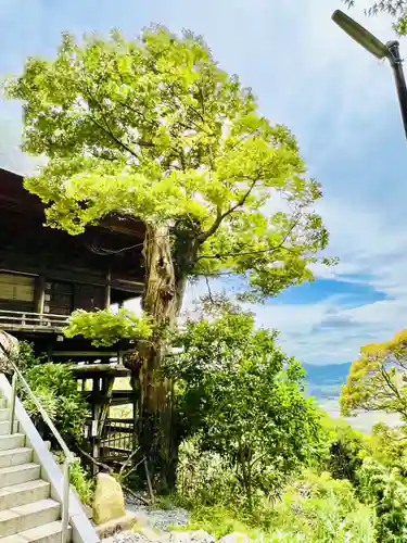 西光院(茨城県)