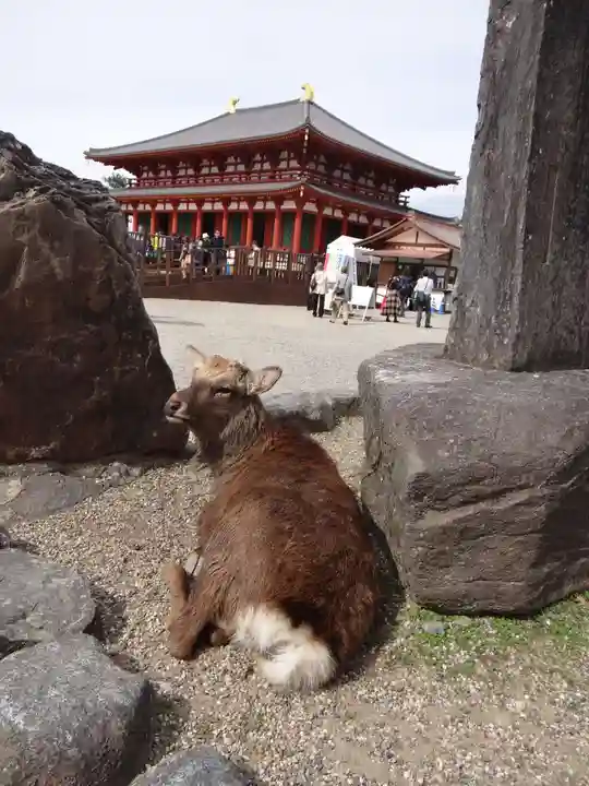 興福寺(奈良県)
