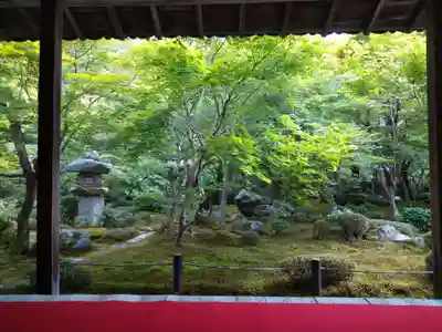 圓光寺(京都府)