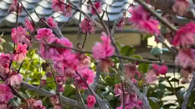 元興寺(奈良県)