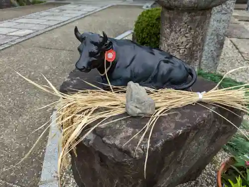 大松禅寺の狛犬