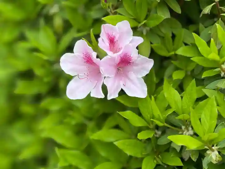 西方山極楽寺(岐阜県)