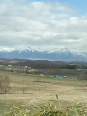 美瑛神社の周辺