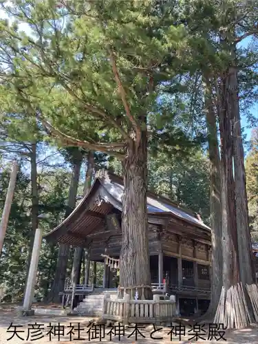 矢彦神社(長野県)