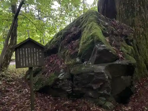 瀧尾神社（日光二荒山神社別宮）の{uncategorized: "未分類", other: "その他", undefined: "問題あり", building: "その他建物", grave: "お墓", sacred_gate: "鳥居", guardian: "狛犬", statue: "像", buddha: "仏像", history: "歴史", nature: "自然", garden: "庭園", animal: "動物", pagoda: "塔", temizu: "手水舎", mountain_gate: "山門・神門", sanctuary: "本殿・本堂", subordinate: "末社・摂社", art: "芸術", scenery: "景色", jizo: "地蔵", ema: "絵馬", goshuin: "御朱印", omikuji: "おみくじ", items: "授与品その他", amulet: "お守り", goshuincho: "御朱印帳", eats: "食事", festival: "お祭り", votive_dance: "神楽", shichigosan: "七五三参", wedding: "結婚式", experience: "体験その他", initially: "初詣", around: "周辺", anti_infection: "感染症対策"}