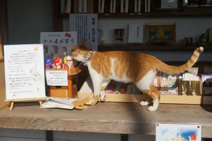 唐澤山神社の動物