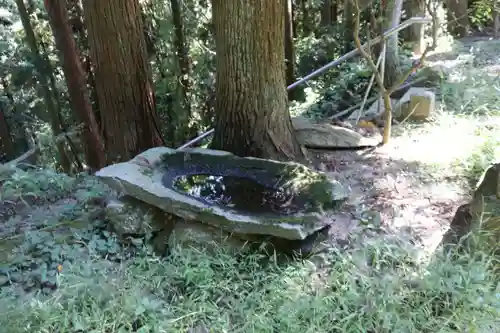 津島神社の手水