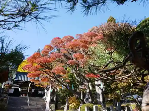 照光寺のその他建物