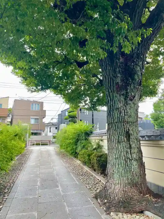 宗林寺(東京都)