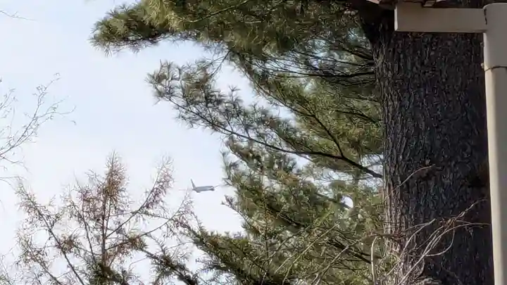 稲荷神社の景色