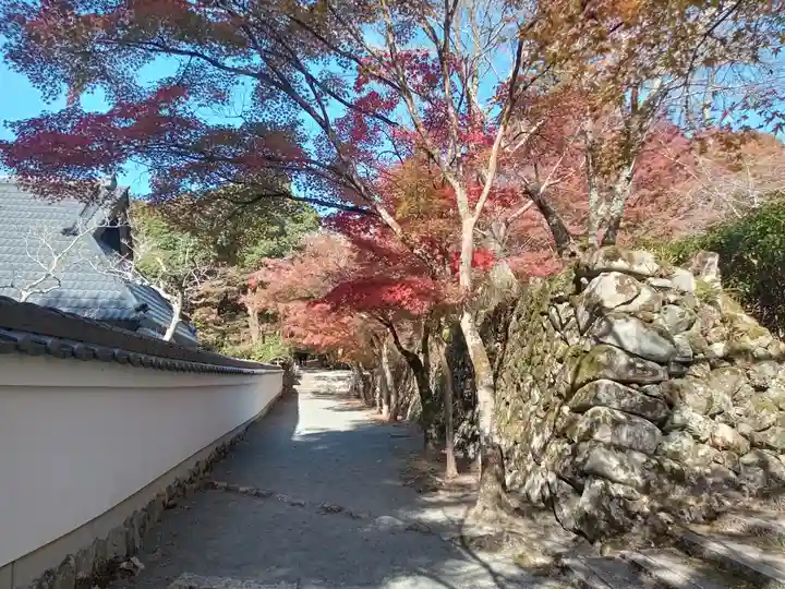 神峯山寺(大阪府)