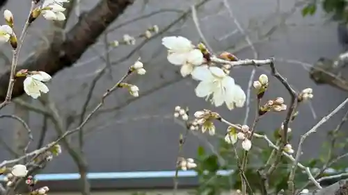 元興寺(奈良県)