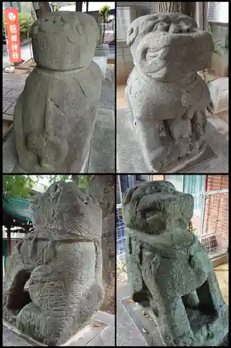 穏田神社の狛犬