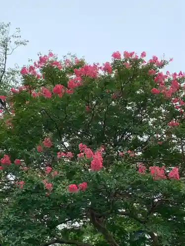 東照寺(神奈川県)
