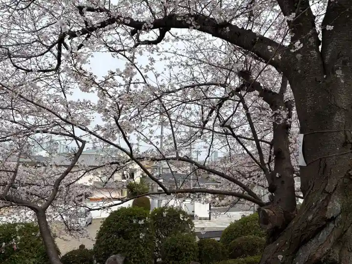 不動寺(大阪府)