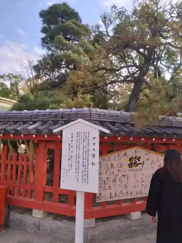 筥崎宮(福岡県)