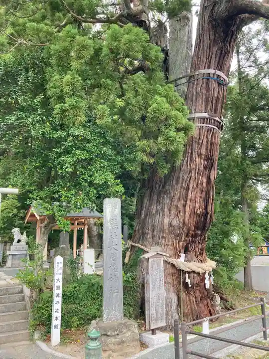 大國魂神社の自然