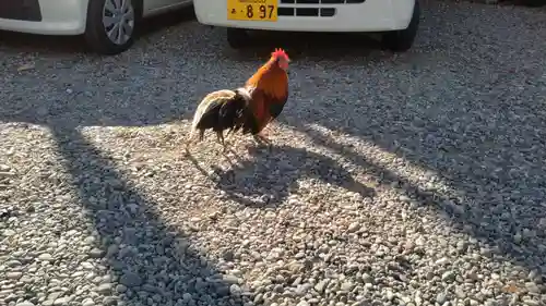 高知大神宮(高知県)