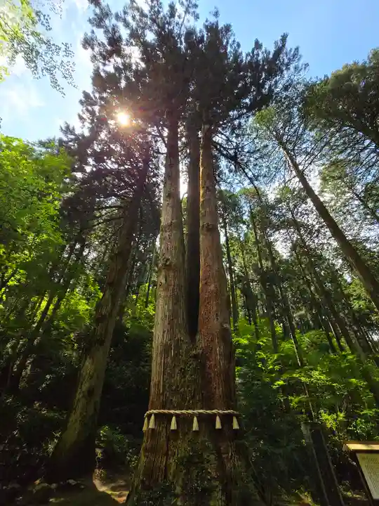 御岩神社(茨城県)