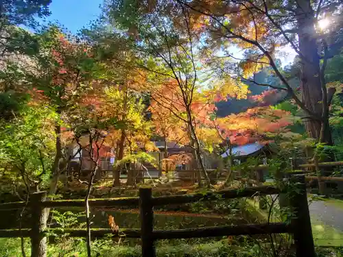 五所駒瀧神社(茨城県)