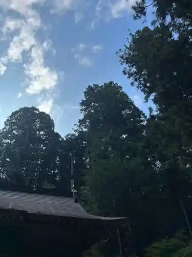 大宮温泉神社の建物その他